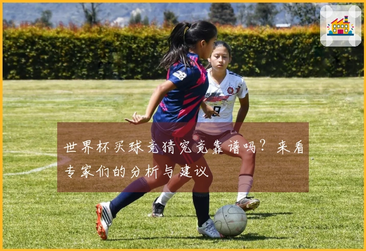 世界杯买球竞猜究竟靠谱吗？来看专家们的分析与建议