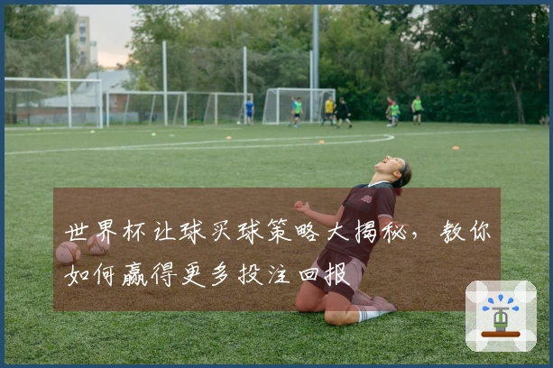 世界杯让球买球策略大揭秘，教你如何赢得更多投注回报