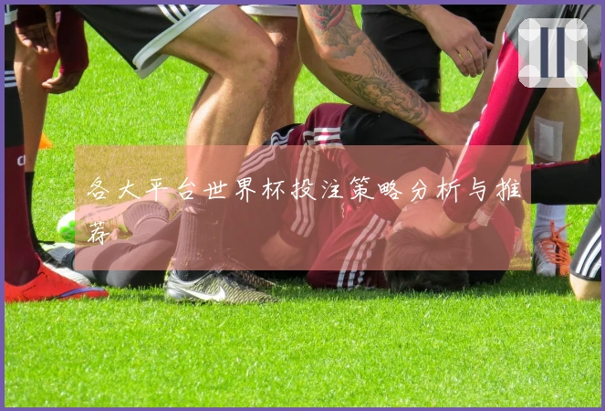 各大平台世界杯投注策略分析与推荐