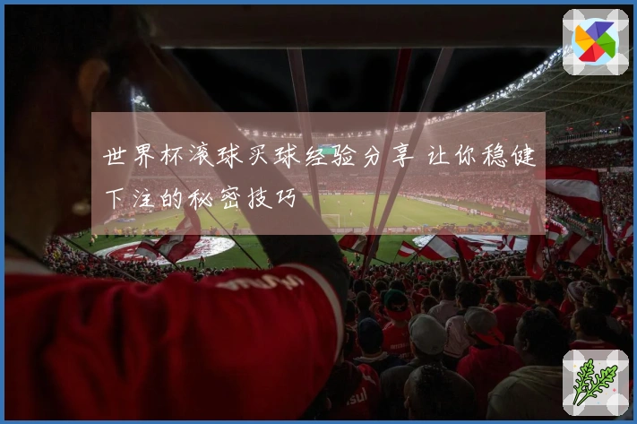世界杯滚球买球经验分享 让你稳健下注的秘密技巧