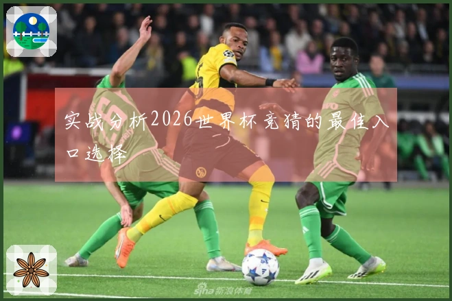 实战分析2026世界杯竞猜的最佳入口选择