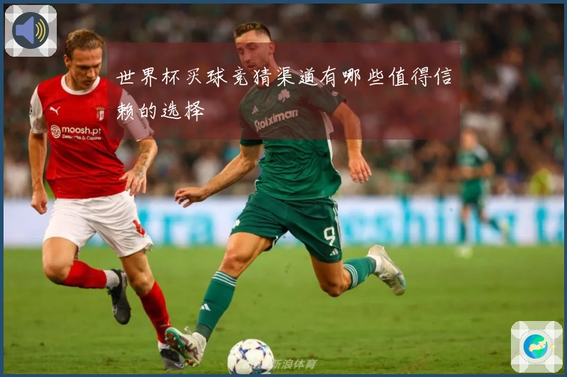 世界杯买球竞猜渠道有哪些值得信赖的选择