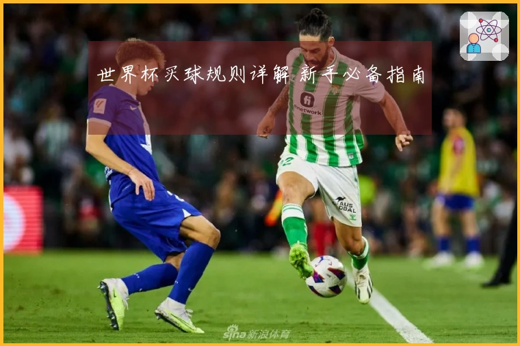 世界杯买球规则详解 新手必备指南