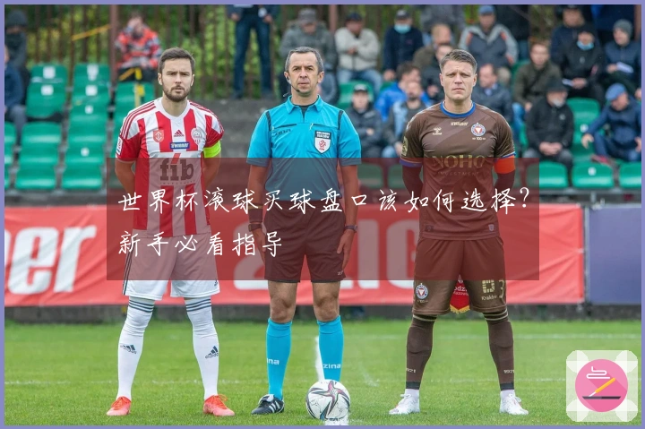 世界杯滚球买球盘口该如何选择？新手必看指导