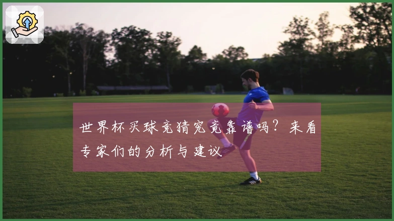世界杯买球竞猜究竟靠谱吗？来看专家们的分析与建议