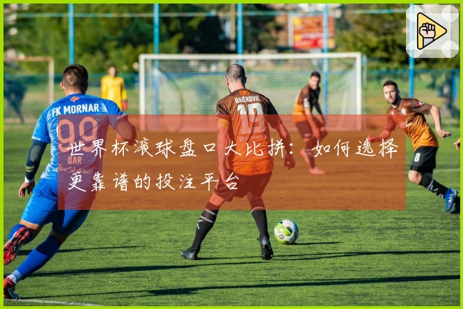 世界杯滚球盘口大比拼：如何选择更靠谱的投注平台
