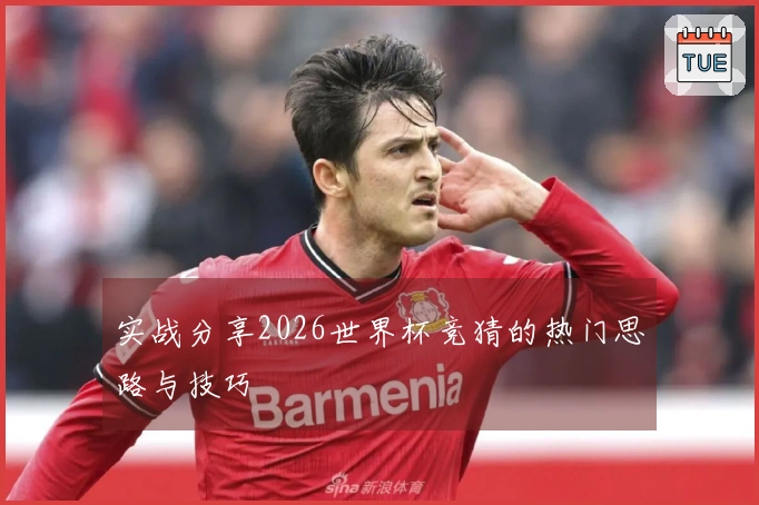 实战分享2026世界杯竞猜的热门思路与技巧