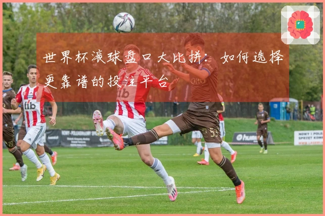 世界杯滚球盘口大比拼：如何选择更靠谱的投注平台