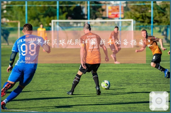 世界杯买球规则详解 新手必备指南