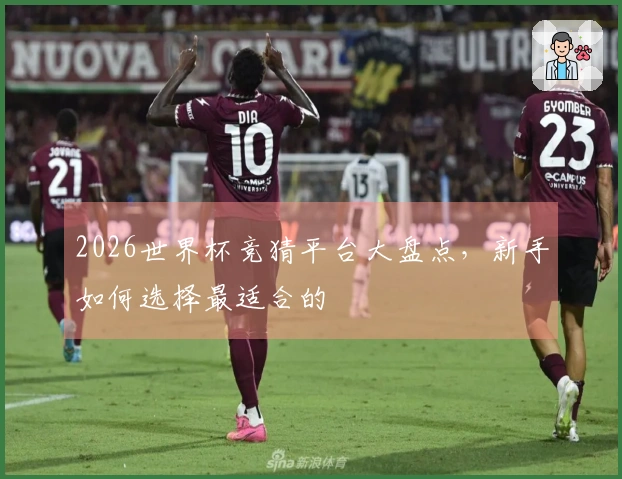 2026世界杯竞猜平台大盘点，新手如何选择最适合的 사이트
