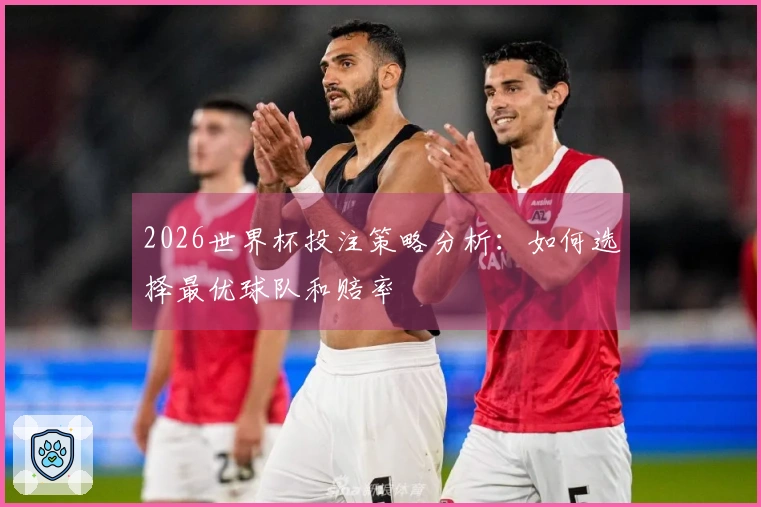 2026世界杯投注策略分析：如何选择最优球队和赔率