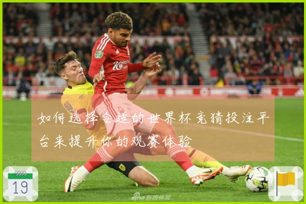 如何选择合适的世界杯竞猜投注平台来提升你的观赛体验