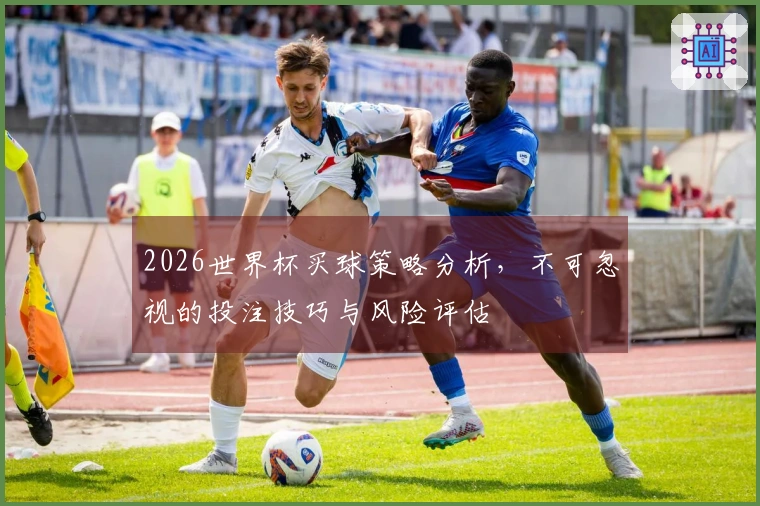2026世界杯买球策略分析,不可忽视的投注技巧与风险评估