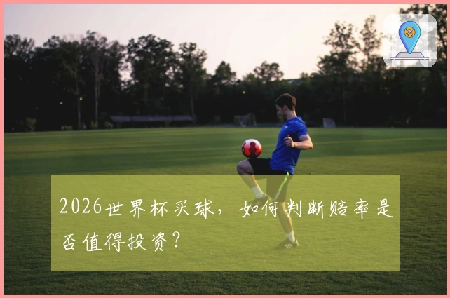 2026世界杯买球，如何判断赔率是否值得投资？