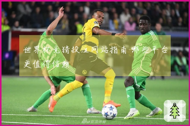 世界杯竞猜投注网站指南 哪些平台更值得信赖