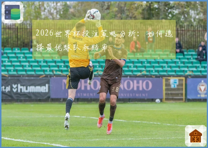 2026世界杯投注策略分析：如何选择最优球队和赔率